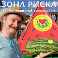 Вышел в свет четвертый номер журнала «Зона риска» за 2026 год Вышел в свет четвертый номер журнала «Зона риска» за 2026 год