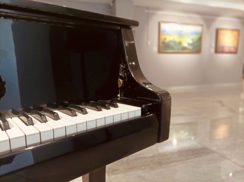 В Музее Машкова состоится совместный концерт волгоградских музыкантов