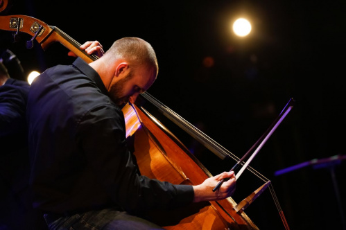 На сцене «Царицынской оперы» прозвучат контрабас и современная поэзия