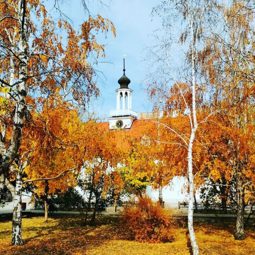 В «Старой Сарепте» открывается органный сезон