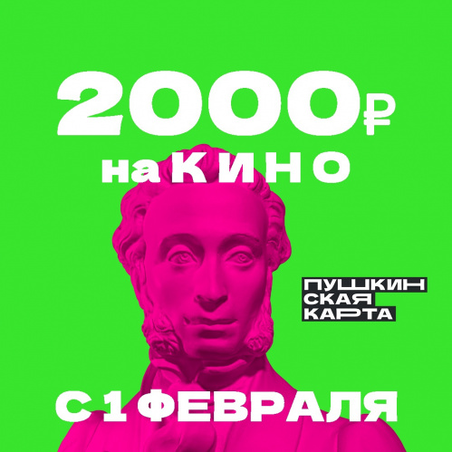 Камышинские школьники активно пользуются Пушкинской картой