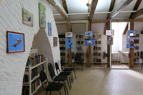 В «Старой Сарепте» представлены фотографии птиц нашего региона