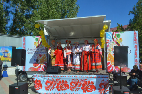 В ДК в Михайловском районе благодаря нацпроекту приобретено звуковое оборудование