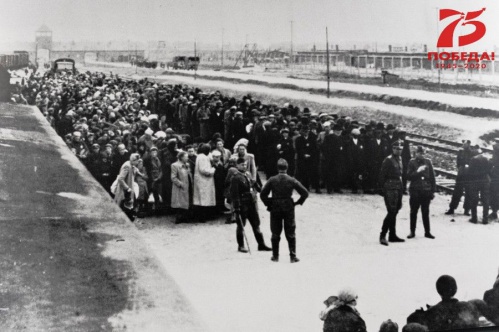 В Волгоградской библиотеке имени Горького расскажут о концлагере «Аушвиц»