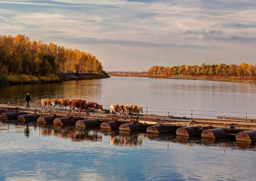 В Волгограде выбрали лучшие фотографии