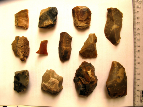 Волгоградские археологи передадут в краеведческий музей уникальные артефакты