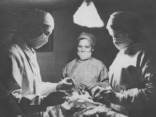 Астраханцы увидят выставку, подготовленную волгоградскими специалистами