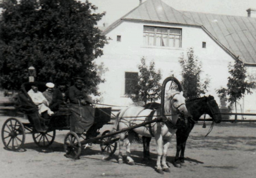 В «Старой Серепте» представили экспонаты из фондов музея