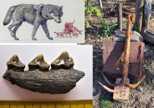 В коллекцию «Старой Сарепты» переданы находки волгоградских краеведов