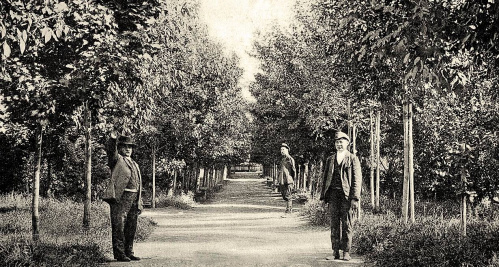 В Камышинском краеведческом музее знакомят с историей городского парка