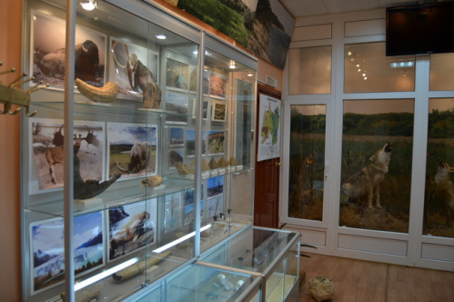 Оснащен еще один музей в рамках нацпроекта «Культура»