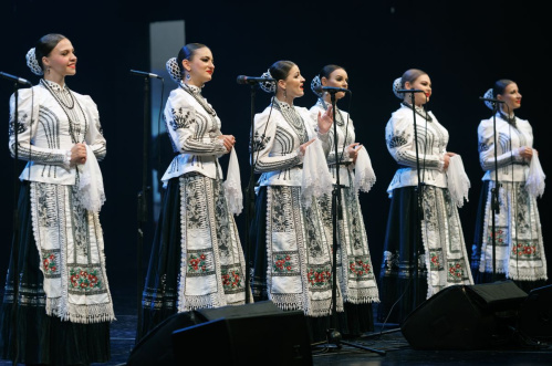 Ансамбль российского казачества выступит в трёх районах Волгоградской области