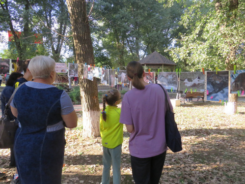 В Котово впервые провели фестиваль «Котовасия»