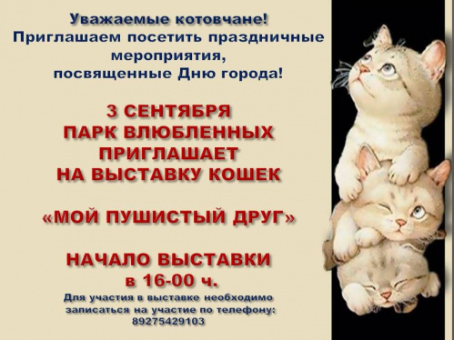 В Котово впервые проведут фестиваль «Котовасия»