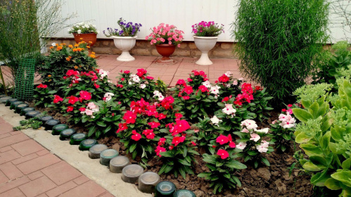 В Волгоградской детской библиотеке подведут итоги областного эколого-краеведческого конкурса