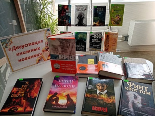 В модельные библиотеки поступают новые книги