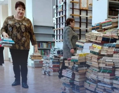 Стартуют работы по созданию в Волгограде первой модельной библиотеки