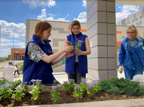 Волгоградские волонтёры культуры облагораживают территорию медицинских учреждений региона