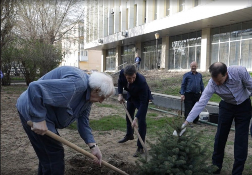 Евгений Рейн посадил ель на Литературной аллее Волгоградской Горьковки