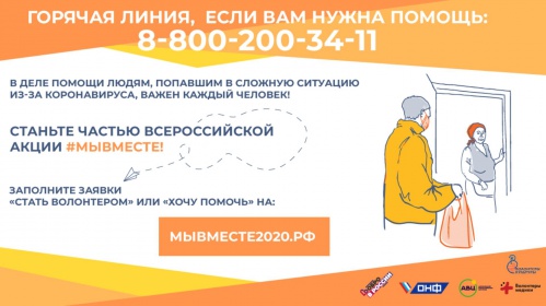 Волгоградские волонтеры культуры принимают участие во всероссийской акции «Мы вместе»