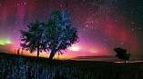 В Волгограде выбрали лучшие фотографии