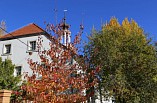 Музей «Старая Сарепта» и Институт истории материальной культуры стали партнёрами Музей «Старая Сарепта» и Институт истории материальной культуры стали партнёрами