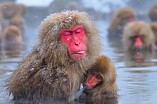 В Музее Машкова откроется международная фотовыставка В Музее Машкова откроется международная фотовыставка