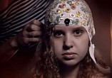 В Волгограде стартует прокат интеллектуального блокбастера о современных исследованиях мозга В Волгограде стартует прокат интеллектуального блокбастера о современных исследованиях мозга