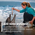 Более 230 млн рублей выделили частным циркам, зоопаркам и дельфинариумам Более 230 млн рублей выделили частным циркам, зоопаркам и дельфинариумам