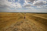 Волгоградский регион поделился опытом по сохранению объектов культурного наследия Волгоградский регион поделился опытом по сохранению объектов культурного наследия