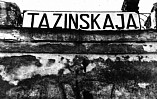 «Сталинградская битва» в Цимлянске «Сталинградская битва» в Цимлянске