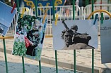 Волгоградцам предлагают выбрать лучшее фото Волгоградцам предлагают выбрать лучшее фото