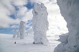 В Волгограде открылась фотовыставка, посвящённая юбилею Республики Коми 