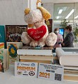 Волгоградская Горьковка представляет программу «Комфортное чтение»