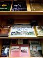 В Волгоградской детской библиотеке пройдёт праздник, посвящённый родному городу В Волгоградской детской библиотеке пройдёт праздник, посвящённый родному городу