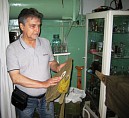 В Волгоградской области будут созданы два музея В Волгоградской области будут созданы два музея
