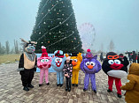 Волонтёры культуры подарили детям праздник у главной ёлки Волгограда Волонтёры культуры подарили детям праздник у главной ёлки Волгограда