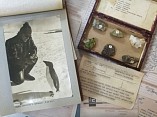 Арктическая выставка в Музее Машкова дополнена уникальными экспонатами