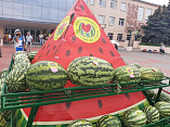 В Камышине провели Арбузный фестиваль в новом формате