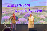 Педагог ВГИИКа выступил с концертом на межрегиональном фестивале казачьего фольклора Педагог ВГИИКа выступил с концертом на межрегиональном фестивале казачьего фольклора