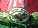 В Камышине прошел конкурс гармонистов и съемки программы «Играй, гармонь любимая…»