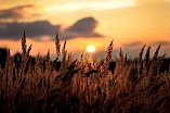 Вся область - в горсаду Вся область - в горсаду