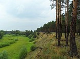 Красиво жить не запретишь